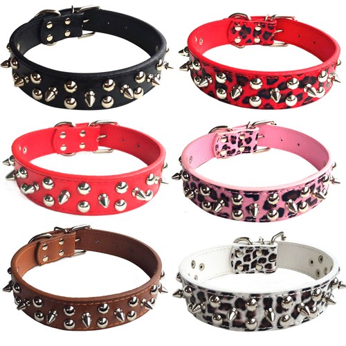Collare per cani con borchie - , a