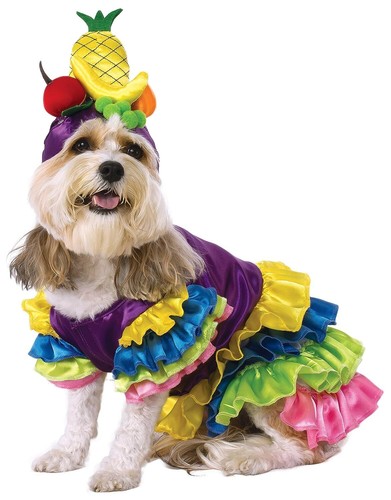 Costume cane animale - , domestico