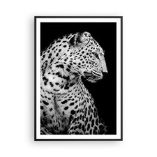 Poster 70x100cm Leopardo