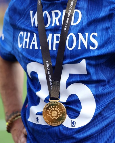 Medaglia campioni the club - medaglia,