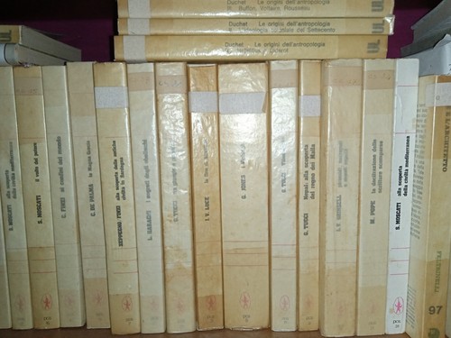 Libro jones vichinghi newton - i,