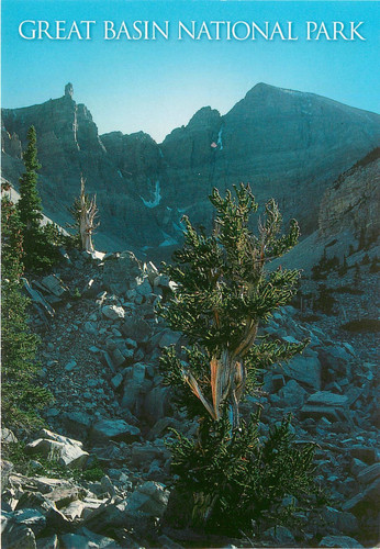 Great basin national park - great,