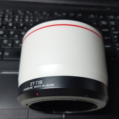 Canon ef70 300mmf4 - 300mmf4, 5.6l