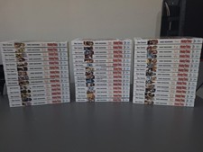 fairy tail new edition serie