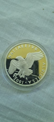 Won asia 2006 aquila - 2006,