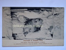 EMILISA STOLL gemelli feak Siamese Head-to-Head Twins CPA old postcard cartolina