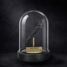 Trilobite Replica Fossil  -