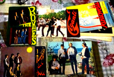 LOTTO 4 COMPLESSI CORVI