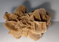 Molto Grande E Definita Rosa Del Deserto