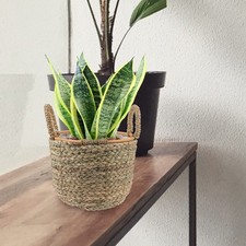  Cesti Portaoggetti Paniere Del Mercato Degli Agricoltori Cestino Di Fiori