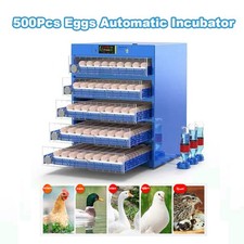 Incubatrice automatica uova