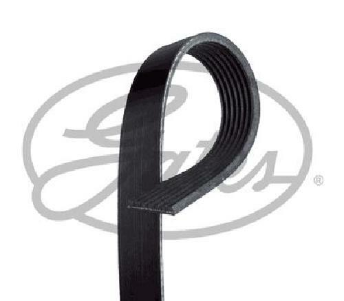 Cinghia trapezoidale originale
