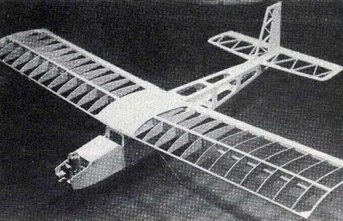 Eagle sport trainer - sport, 62"