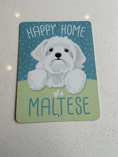 Insegna cane maltese