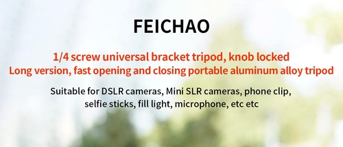 Feichao logo laser188mm testa - feichao,
