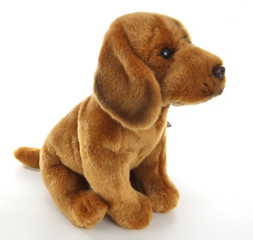 Peluche ungherese vizsia - ungherese,