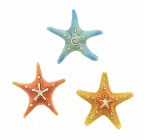 Bomboniera stella marina - bomboniera,