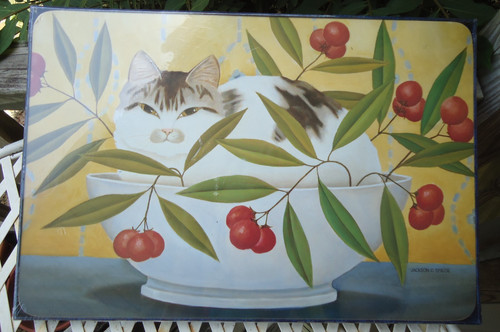 Set tovagliette gattino - 4,