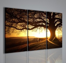 QUADRI MODERNI SOFT TREE
