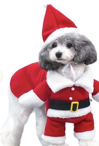 Costume natalizio carino cane - costume,