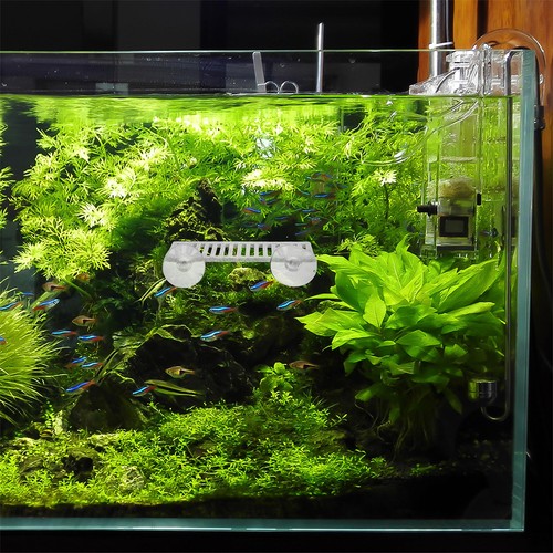 Pcs accessori per - , pesci