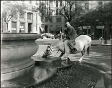 Foto vintage Milano Passeggiata a cavallo anni 60 Ft 36098 - Stampa 24x30 cm