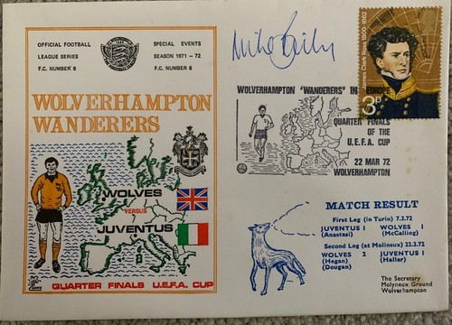 Wolverhampton wanderers - wanderers, v