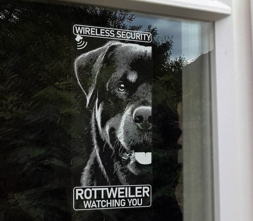 Insegna adesiva rottweiler - insegna,
