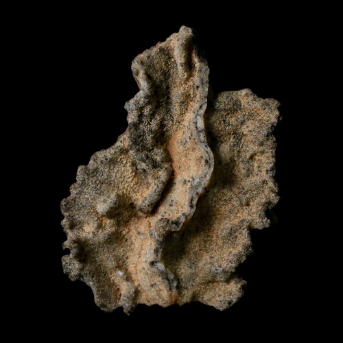 Vetro fulgurite pietrificato - vetro,