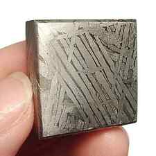 41,7 g Muonionalusta fetta di