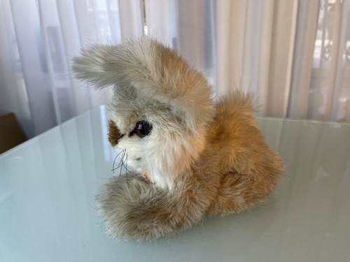 Steiff tier hase junior - steiff,
