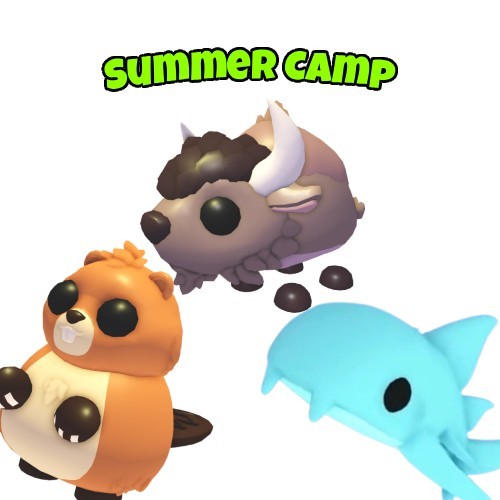 Adopt summer camp - adopt,