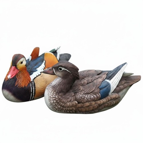 Contenitore pesci giardino - contenitore,