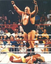 WRESTLING SUPERSTARS - KING