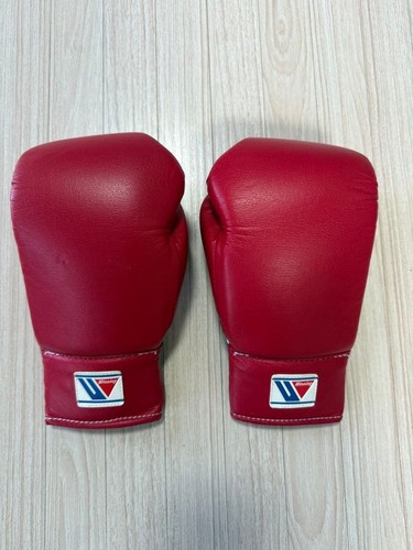 Guantoni boxe vincenti 6 - vincenti,