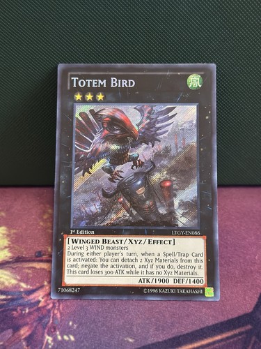Totem bird secret - bird, 1°