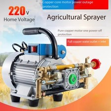 Pompa a Pistone Giardino 220V