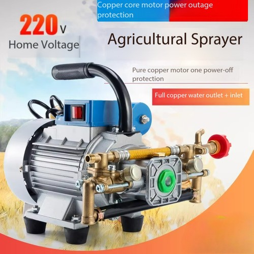 Pompa pistone giardino - a, 220v