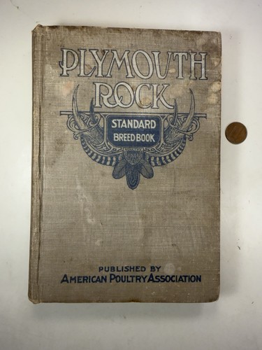 Plymouth rock standard - plymouth,