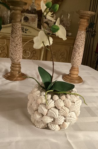 Sanibel scatola gioielli - sanibel,