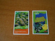 FIGURINA CARD SPONGEBOB CRAI -