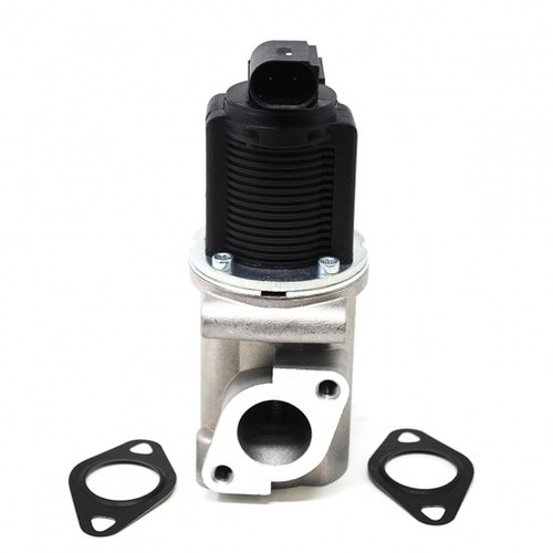 Valvola egr rigenerata - egr, per