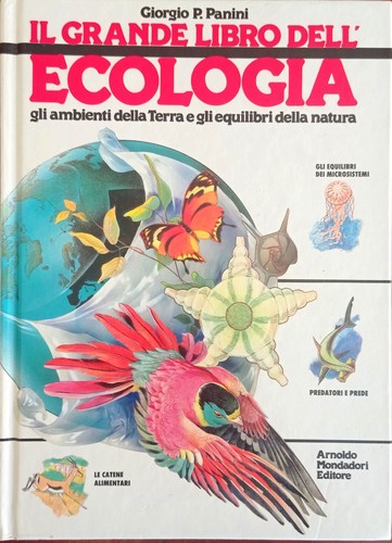 Grande libro - il,