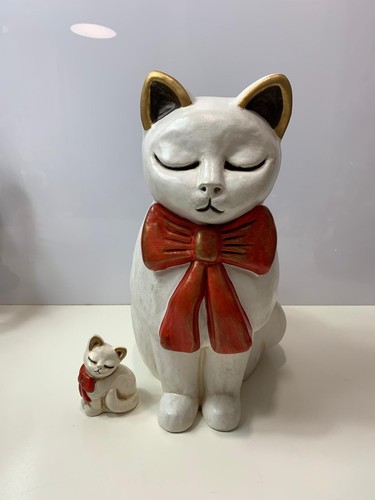 Thun gatto leonardo - gatto, bianco