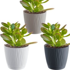 Vaso da fiori portavasi con