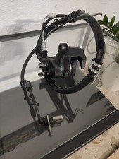 Pinza Freno posteriore +