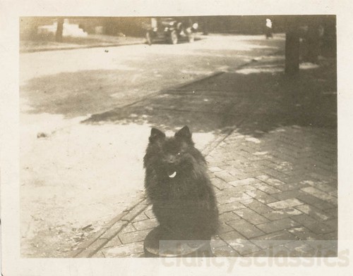 Foto epoca anni 20 nero - foto,