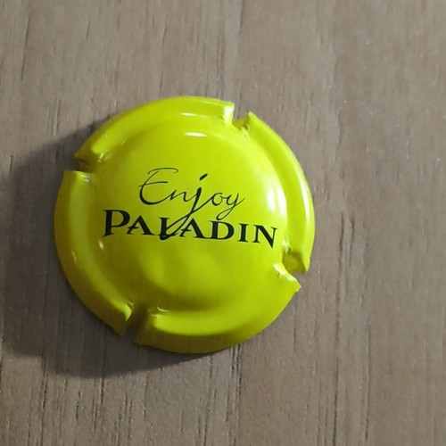 Enjoy paladin borchia - ,