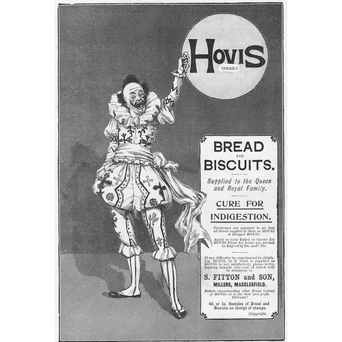 Hovis pane biscotti - biscotti,