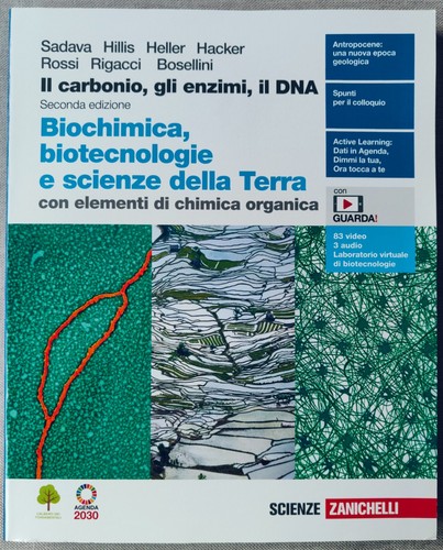Carbonio gli enzimi dna - il,